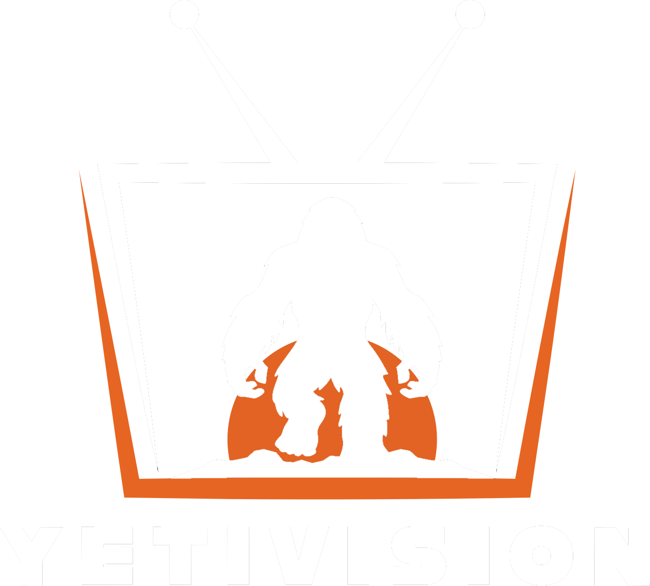 Yeti Vision